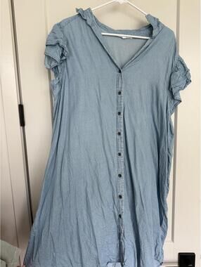 Jane + Delancey Light Blue Button-Front Dress 2X